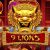 9 Lions