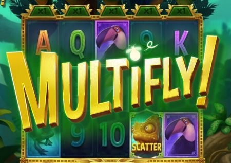 Multifly